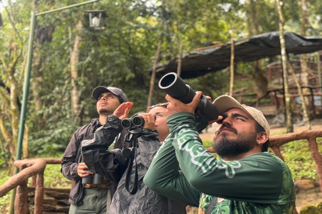 Observación de aves y fotografía de fauna para el aviturismo en Venezuela